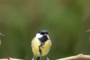 给创业管理者的忠告:你不是皇帝,而你的员工也不傻